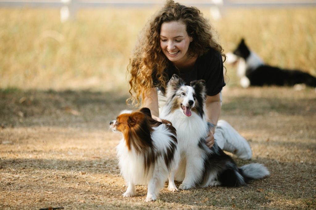 pexels-photo-7210486 A joyful woman plays with her Shetland Sheepdogs in a sunny outdoor park setting, capturing a moment of happiness.